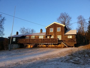 Litjtrøa